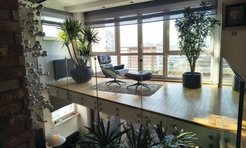 IMG_20251120_121726354