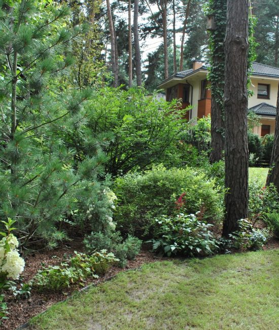 pielegnacja-ogrodu-w-lesie-zielona-magdalenka