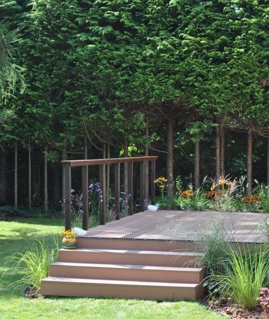 rosliny-przy-tarasie-odrod-powsin