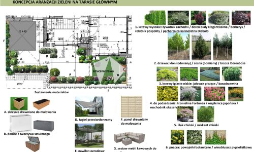 taras_główny_rosliny